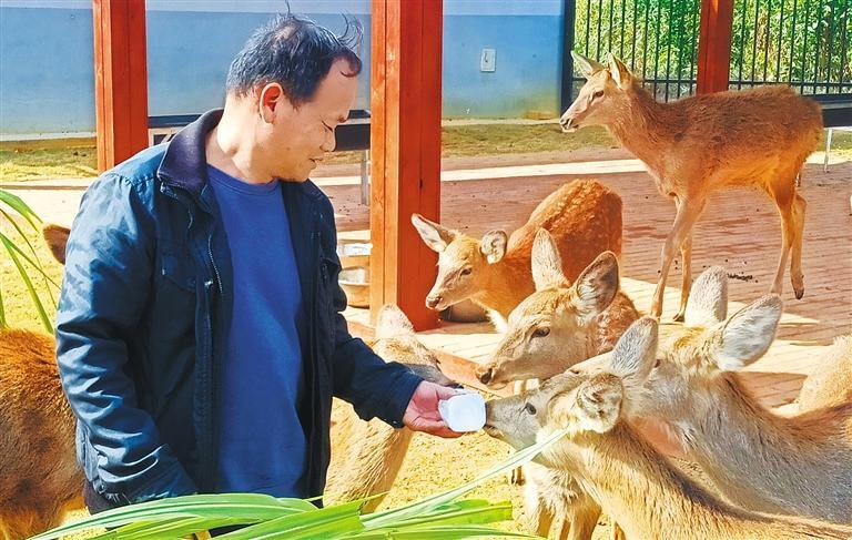 发展产业调研】林下生金不朽情缘游戏【高质量(图2)